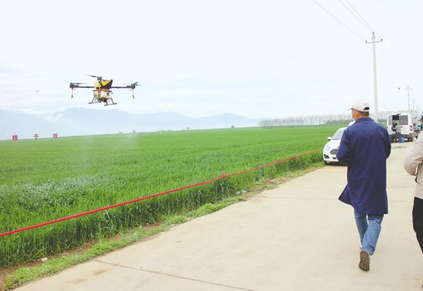 中国证监会查办首例境外上市备案违规案件