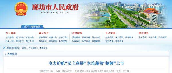 廊坊永清县：电力护航“无土春耕” 水培蔬菜“抢鲜”上市
