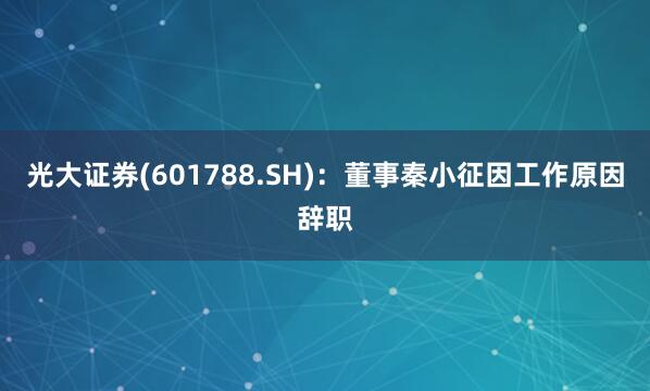 光大证券(601788.SH)：董事秦小征因工作原因辞职