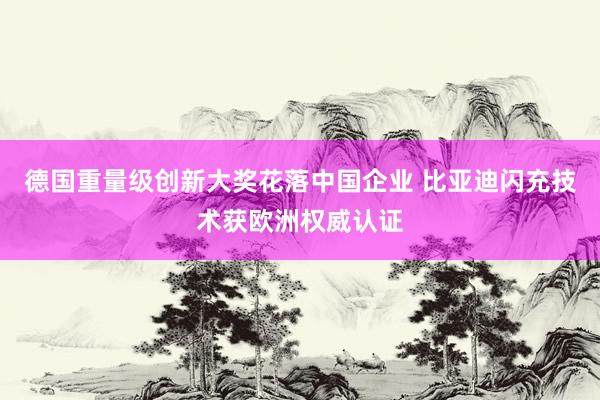 德国重量级创新大奖花落中国企业 比亚迪闪充技术获欧洲权威认证