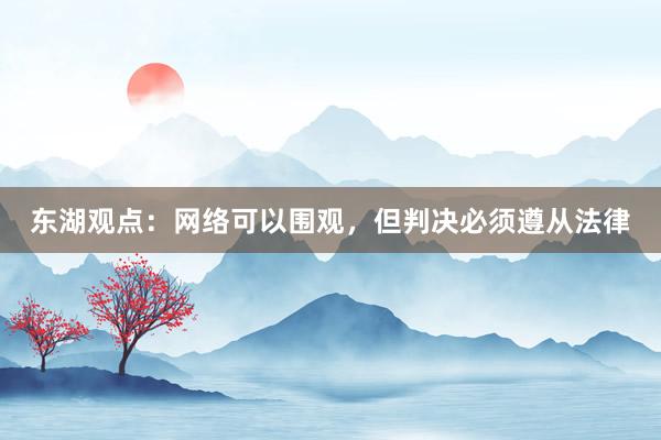 东湖观点：网络可以围观，但判决必须遵从法律
