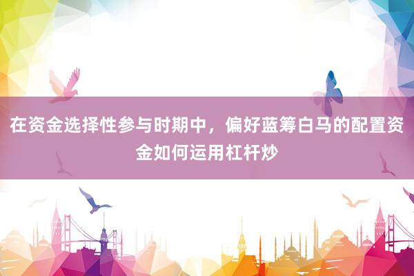 在资金选择性参与时期中，偏好蓝筹白马的配置资金如何运用杠杆炒
