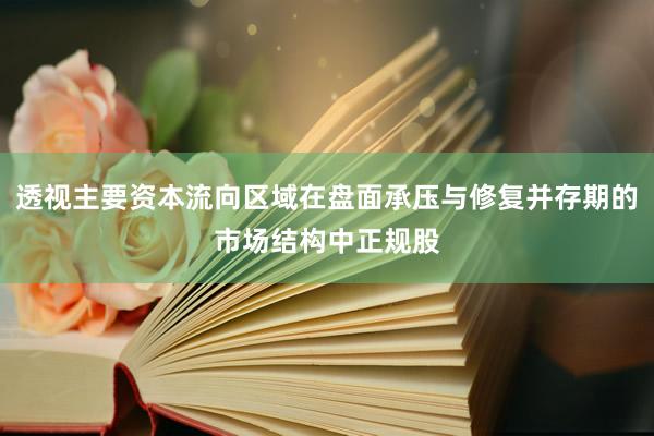 透视主要资本流向区域在盘面承压与修复并存期的市场结构中正规股