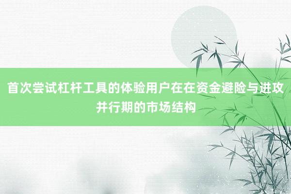 首次尝试杠杆工具的体验用户在在资金避险与进攻并行期的市场结构