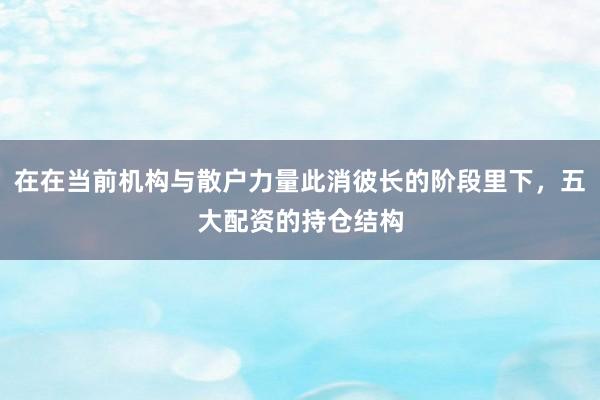 在在当前机构与散户力量此消彼长的阶段里下，五大配资的持仓结构