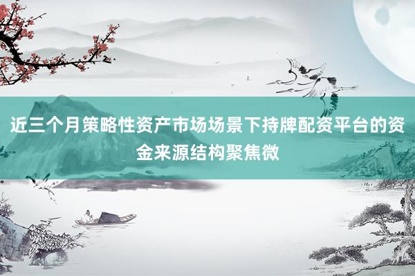 近三个月策略性资产市场场景下持牌配资平台的资金来源结构聚焦微