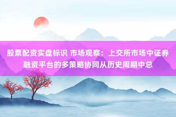 股票配资实盘标识 市场观察：上交所市场中证券融资平台的多策略协同从历史周期中总