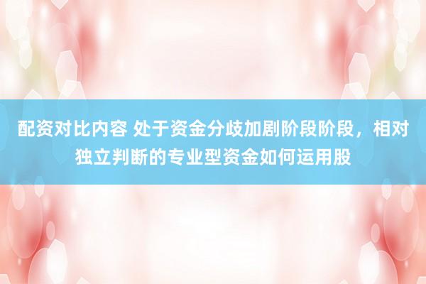 配资对比内容 处于资金分歧加剧阶段阶段，相对独立判断的专业型资金如何运用股